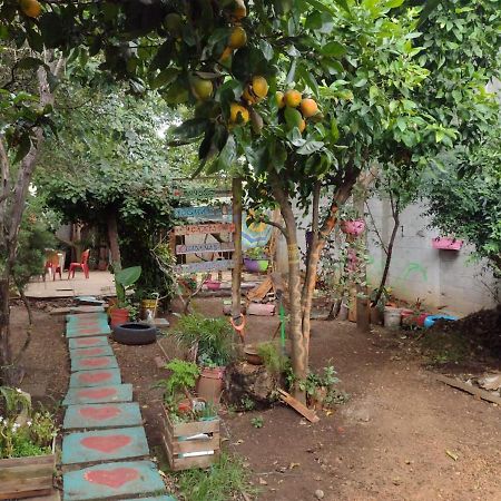 Casa Lothuz Spacio Cultural Y Disidente San Cristóbal de Las Casas 外观 照片