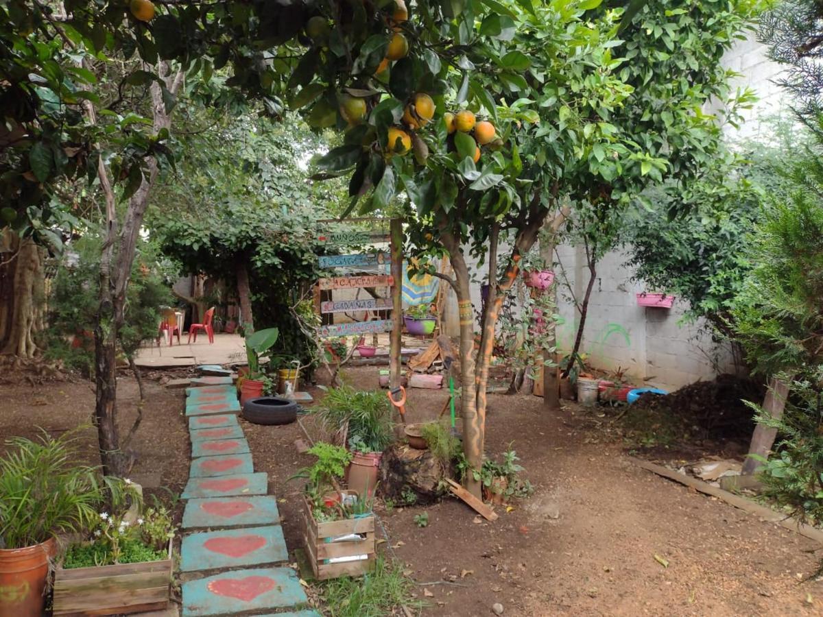 Casa Lothuz Spacio Cultural Y Disidente San Cristóbal de Las Casas 外观 照片